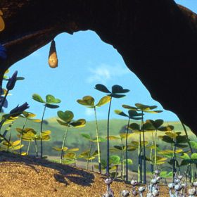 Bilder Das große Krabbeln