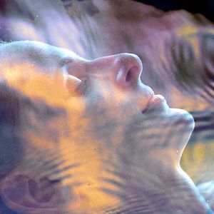 Bilder William Arntz