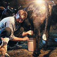 Bilder Hippie Masala - Für immer Indien