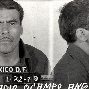 Bilder Die alten Diebe