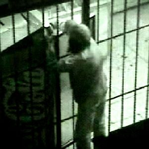 Bilder Die alten Diebe