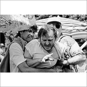 Bilder Schwarze Schafe