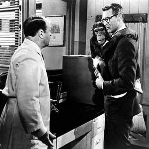 Bilder Henri Letondal