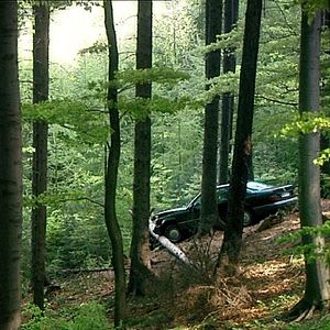 Bilder Immer nie am Meer