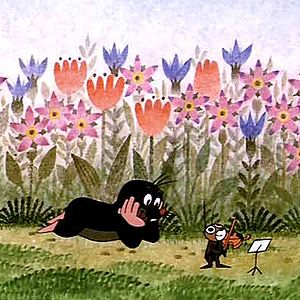 Bilder Der kleine Maulwurf