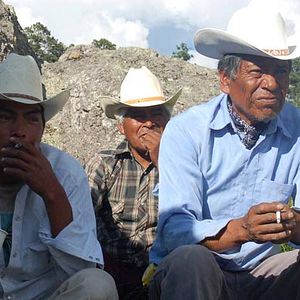 Bilder Laura Amelia Guzmán