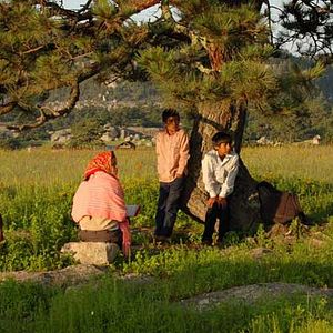 Bilder Laura Amelia Guzmán