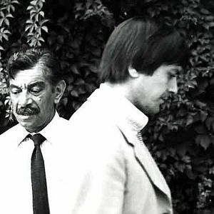 Bilder Die Strategie der Spinne