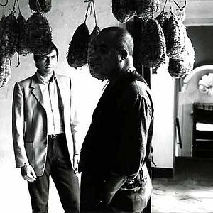 Bilder Die Strategie der Spinne