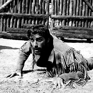 Bilder Die Zeit der Geier