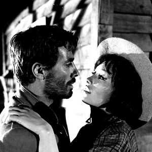 Bilder Die Zeit der Geier