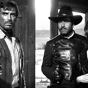 Bilder Die Zeit der Geier