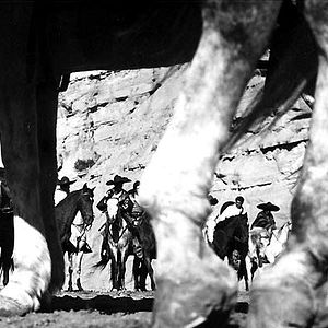 Bilder Die Zeit der Geier