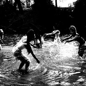 Bilder Die Zeit der Geier