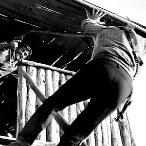 Bilder Die Zeit der Geier