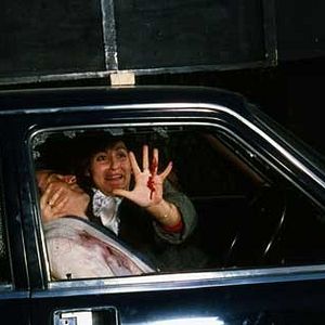 Bilder Die hundert Tage von Palermo