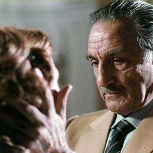 Bilder Die hundert Tage von Palermo