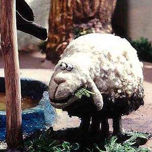 Bilder Mohammad Ali Soleymanzadeh