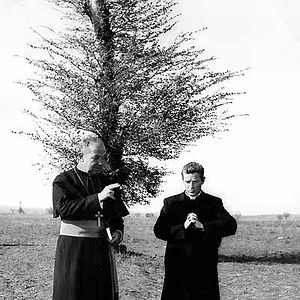 Bilder Broderick Crawford