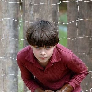 Bilder Cao Hamburger