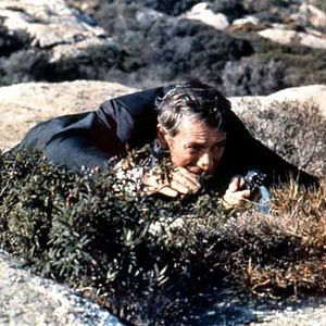 Bilder Police Python 357