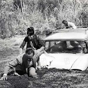 Bilder David Opatoshu