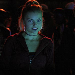 Bilder David Petrarca