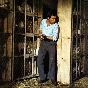 Bilder Claude Chabrol