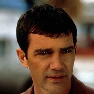 Bilder Knocked Out – Eine schlagkräftige Freundschaft