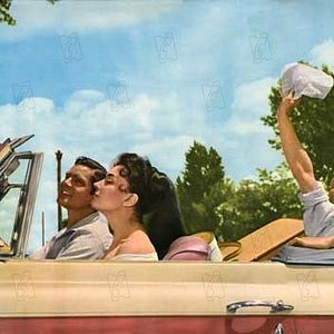 Bilder Anthony Steel