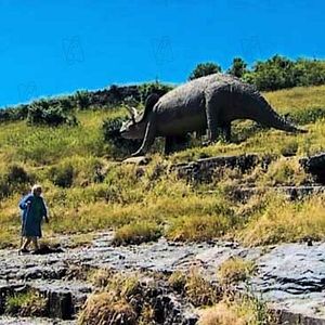 Bilder Der Himmel dreht sich