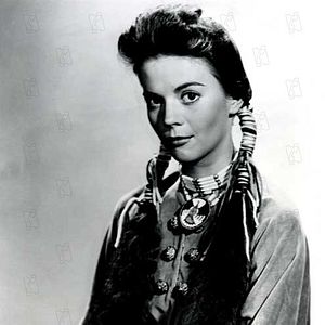 Bilder Der Schwarze Falke