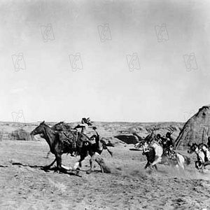 Bilder Der Schwarze Falke