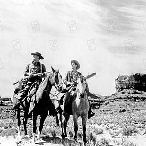 Bilder Der Schwarze Falke