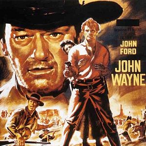 Bilder Der Schwarze Falke