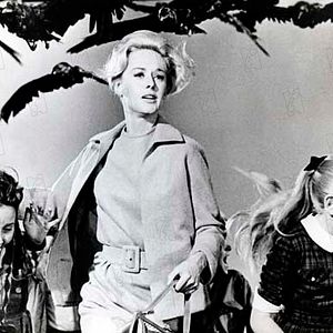 Bilder Tippi Hedren