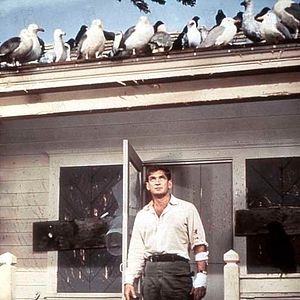 Bilder Alfred Hitchcock