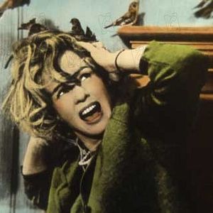 Bilder Alfred Hitchcock