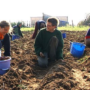 Bilder Menschen -Träume -Taten