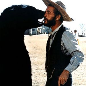 Bilder Das war Roy Bean