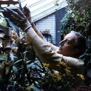 Bilder Peter Sellers