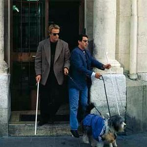 Bilder Jeannot Szwarc