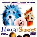 Bilder Sherlock & Herkules