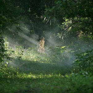 Bilder In the Electric Mist