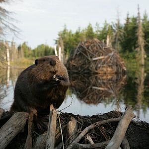 Bilder Philippe Calderon