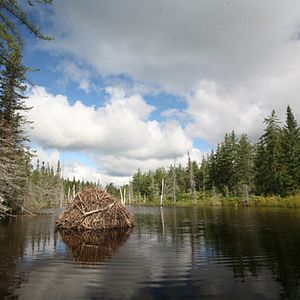 Bilder Philippe Calderon