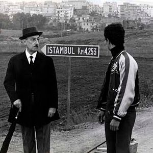 Bilder Große Vögel, kleine Vögel