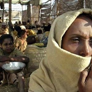 Bilder Radu Mihaileanu