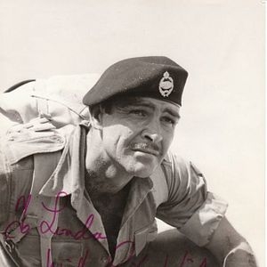 Bilder Ein Haufen toller Hunde