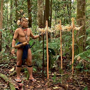 Bilder Bruno Manser - Kampf um den Regenwald